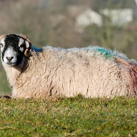 Little Apple Cottage- Free Parking, Hot Tub, Fire, Town Centre Appleby-in-Westmorland