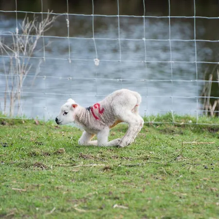 Little Apple Cottage- Free Parking, Hot Tub, Fire, Town Centre * Appleby-in-Westmorland