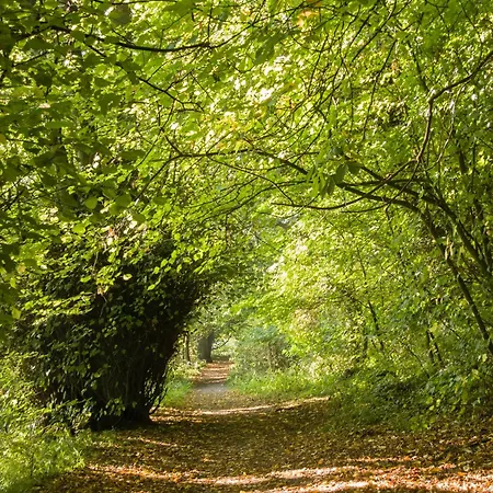 Casa vacanze Little Apple Cottage- Free Parking, Hot Tub, Fire, Town Centre *